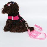 Cat&Dog Adjustable Harness Leash - Doggylovers