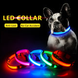 USB Charging Led Dog Collar Anti-Lost/Avoid - Doggylovers