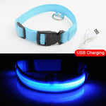 USB Charging Led Dog Collar Anti-Lost/Avoid - Doggylovers