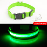 USB Charging Led Dog Collar Anti-Lost/Avoid - Doggylovers