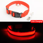 USB Charging Led Dog Collar Anti-Lost/Avoid - Doggylovers