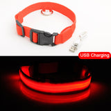 USB Charging Led Dog Collar Anti-Lost/Avoid - Doggylovers