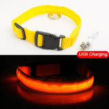 USB Charging Led Dog Collar Anti-Lost/Avoid - Doggylovers