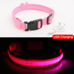 USB Charging Led Dog Collar Anti-Lost/Avoid - Doggylovers