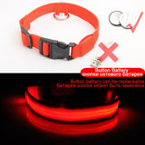 USB Charging Led Dog Collar Anti-Lost/Avoid - Doggylovers