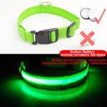 USB Charging Led Dog Collar Anti-Lost/Avoid - Doggylovers