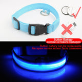 USB Charging Led Dog Collar Anti-Lost/Avoid - Doggylovers