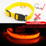 USB Charging Led Dog Collar Anti-Lost/Avoid - Doggylovers