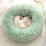 Pet Bed - Doggylovers