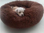 Pet Bed - Doggylovers