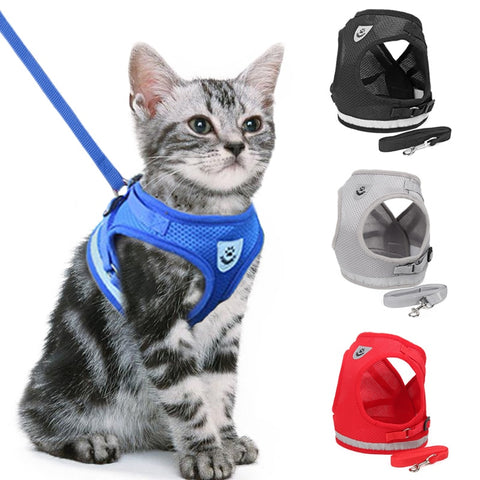 Cat&Dog Adjustable Harness Leash - Doggylovers