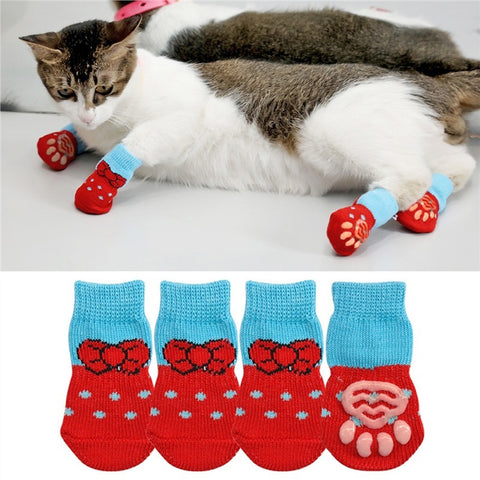 Stylish cat socks - Doggylovers